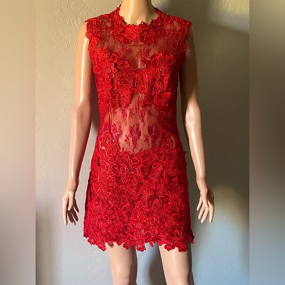 Chic Scarlet Lace Mini Dress